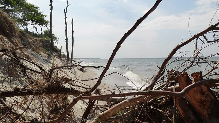 Weststrand Prerow im Juni 2016