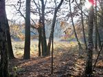 zweite Wiese in Herbstsonne